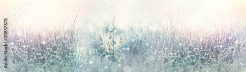 Frosty dew on grass in meadow, Frozen dew in early morning  © PhotoIris2021