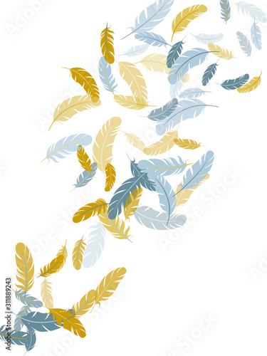 Detailed majestic feather on white design.