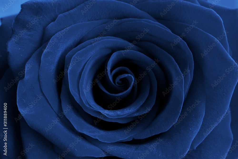 Color year 2020 blue background Color year 2020 blue background