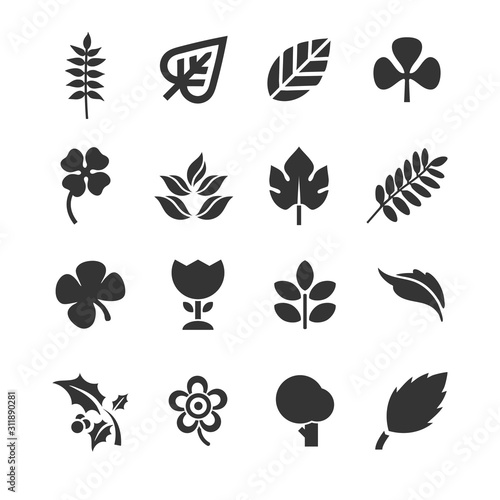 leaf plants set icon vector illustration for website and graphic design symbol