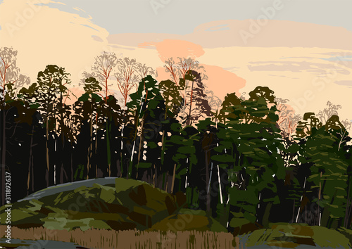Rocky shore of the gulf of Finland with mixed forest and sunset skies on the background