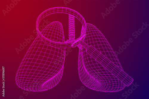 Lungs with trachea bronchi internal organ human with magnifying glass. Pulmonology medicine science analysis concept. Wireframe low poly mesh vector illustration