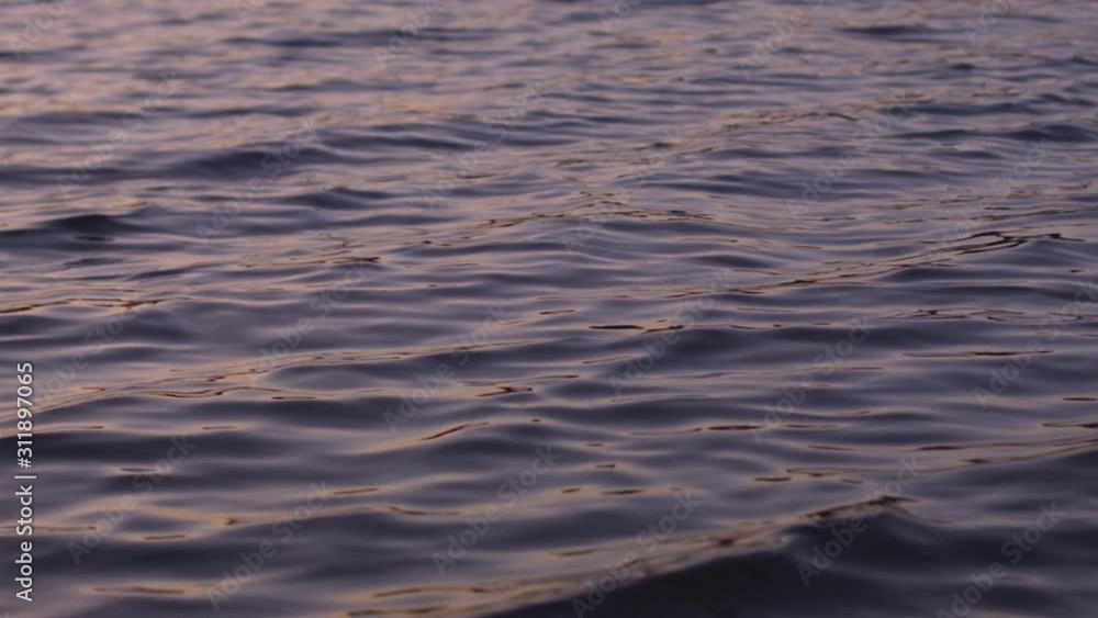 Close-up of the surface of the water in the river at sunset in the fall. Recorded in Raw on Blackmagic camera. Close-up of the surface of the water in the river at sunset in the fall. Recorded in Raw on Blackmagic camera.