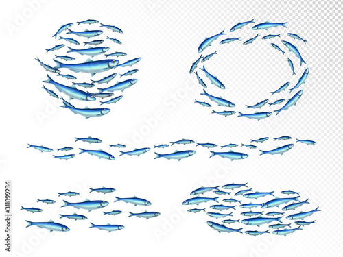 Fish School Realistic Set 