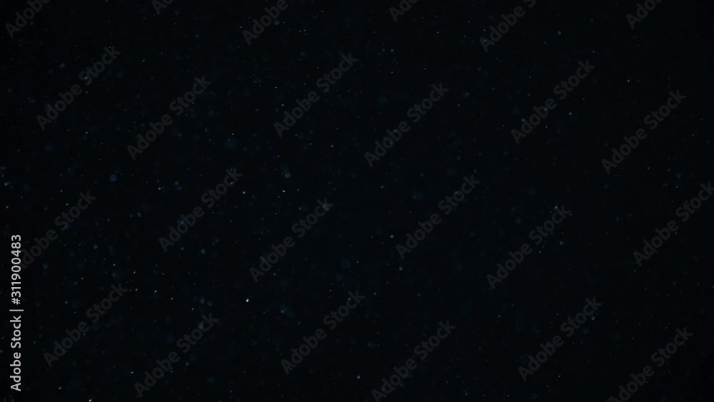 Natural Organic Dust Particles Floating On Black Background. Glittering Sparkling Particles Randomly Spin In The Air With Bokeh. Dynamic Particles With Fast And Slow Motion. Shimmering Dust In Space. Natural Organic Dust Particles Floating On Black Background. Glittering Sparkling Particles Randomly Spin In The Air With Bokeh. Dynamic Particles With Fast And Slow Motion. Shimmering Dust In Space.