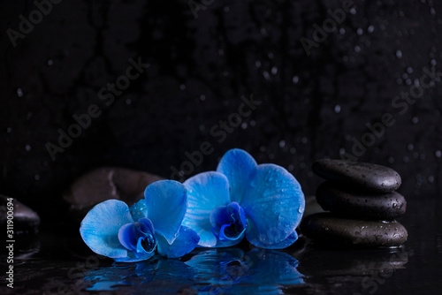 Spa and relax concept. Two blue orchid flowers and black stones pyramid on the wet black slate background. Selective focus  close up