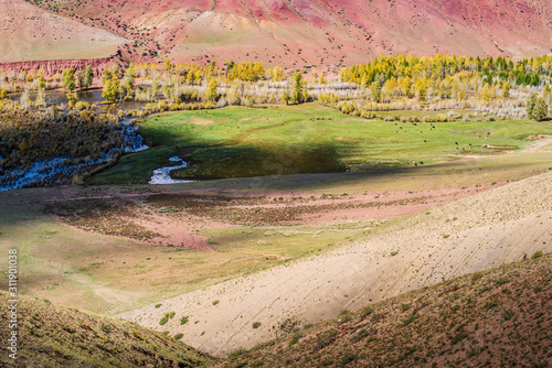 Autumn in the valley of the Kyzylshin River, top view. Kosh-Agachsky District, Altai Republic, Russia photo