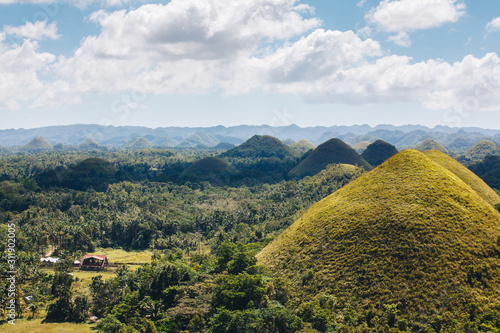 Amazingly shaped Chocolate hills on sunny day on Bohol island  Philippines