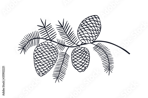  branch with Christmas tree, fir tree cones. eps 10 vector illustration