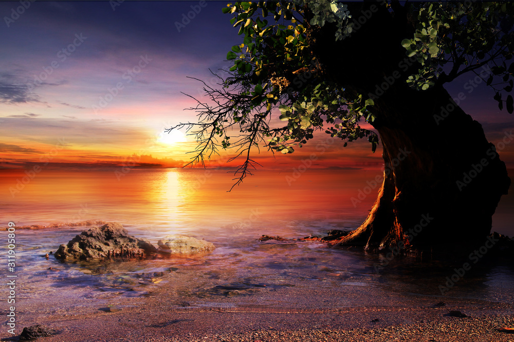 Obraz premium sunset on the beach