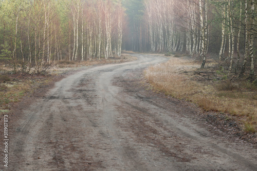 Fototapeta Naklejka Na Ścianę i Meble -  Leśna droga późną jesienią.