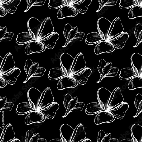 Dark Vector seamless graphic pattern with white  Flowers of Plumeria Alba on the black background. Doodle style. Hand drawing  Frangipani. For texrile design, Fabric. Tissue paper