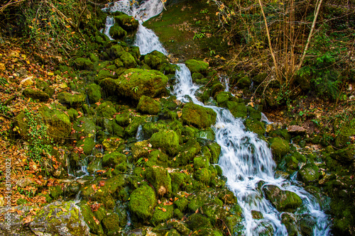 pure mountain stream three