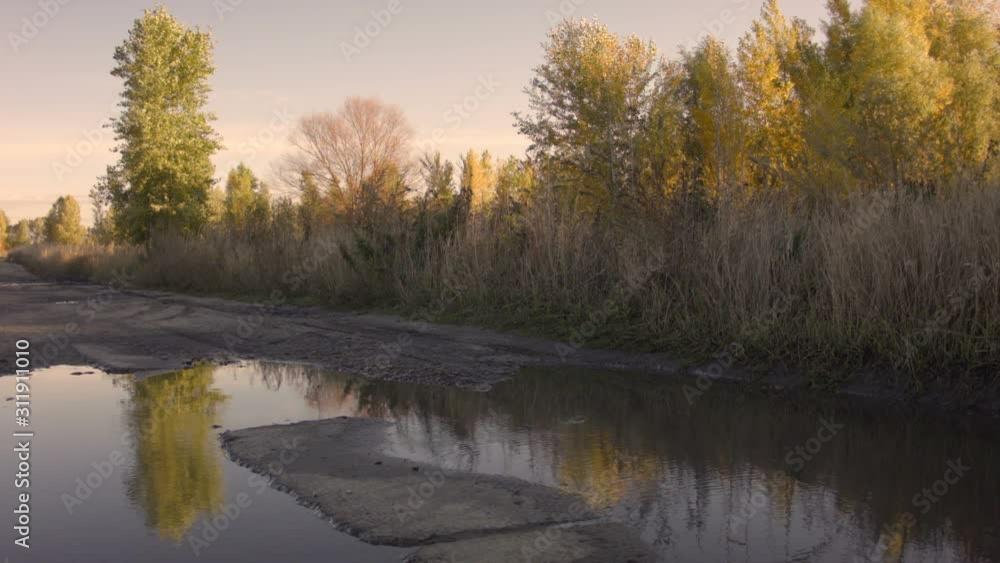 View of autumn trees in a clear Autumn day at sunset. Recorded in Raw on Blackmagic camera. View of autumn trees in a clear Autumn day at sunset. Recorded in Raw on Blackmagic camera.