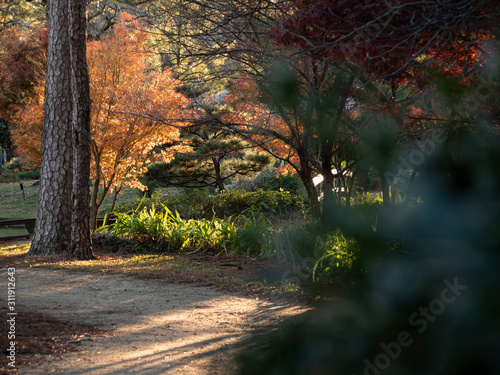 A garden full of colors and calm scent 