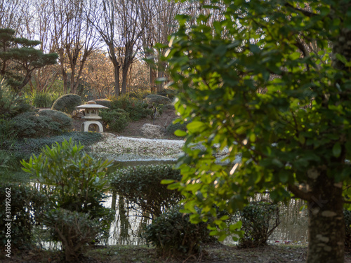 A garden full of colors and calm scent 