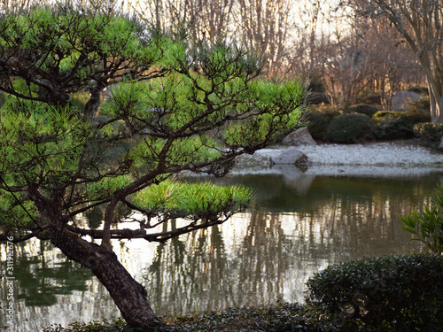 A garden full of colors and calm scent 