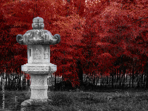 A garden full of colors and calm scent 