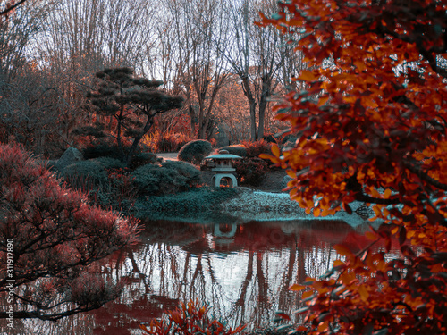 A garden full of colors and calm scent 