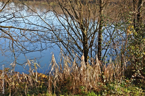 laghetto di pianura