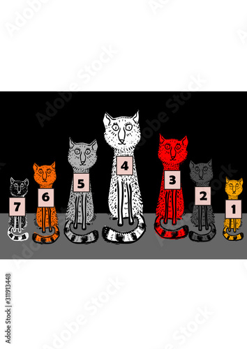 Suspect Identification. Line up of funny cats. 