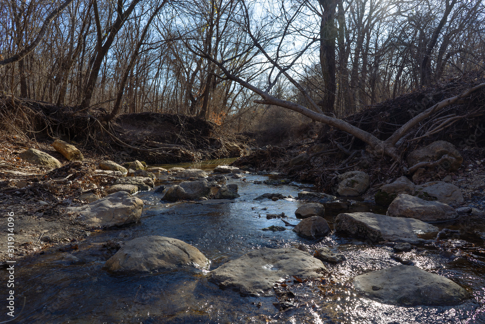 Forest River on a sunny December day in a Texas city reserve. Forest River on a sunny December day in a Texas city reserve.