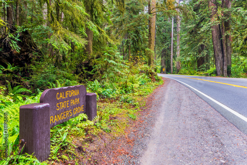 California State Park Sign in Redwood National Park California USA