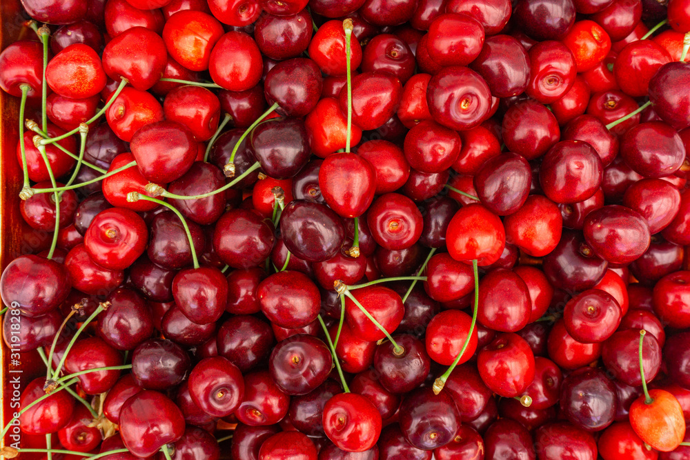 Pile of ripe cherries with stalks and leaves. Large collection of fresh red cherries. Ripe cherries background. Pile of ripe cherries with stalks and leaves. Large collection of fresh red cherries. Ripe cherries background.
