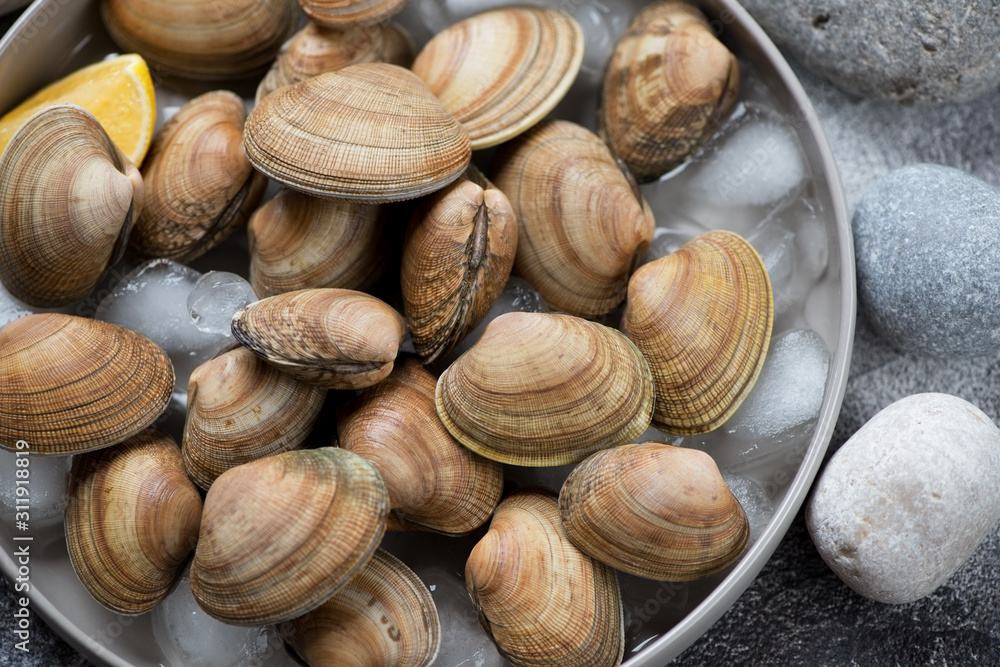 Close-up of raw uncooked iced vongole clams, selective focus, elevated view Close-up of raw uncooked iced vongole clams, selective focus, elevated view