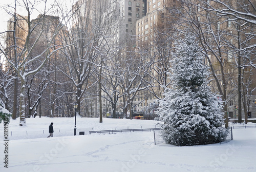 Snowy Day Central Park