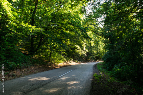 Forest road in Fruska Gora National Park, Serbia