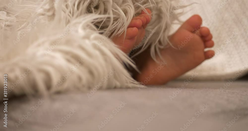Sleeping baby feet under a white blanket, close shot, tilting up rack focus Sleeping baby feet under a white blanket, close shot, tilting up rack focus