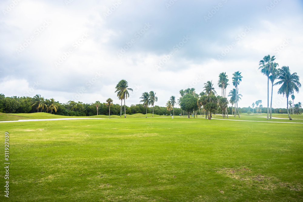 green field and trees