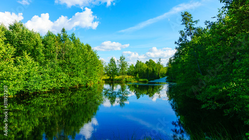 Picturesque reclamation in the swamp Yelnya. Nature reserve. Eciligical problem. Protection of nature.