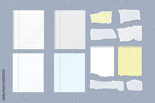 Set of notebook pages and pieces of torn notebook paper. Vector illustration