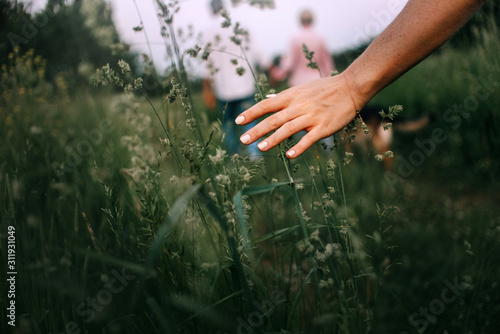Fotografia woman hand caressing grass on a field in summer