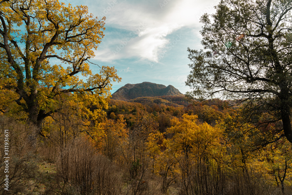Fototapeta premium mountain in autumn