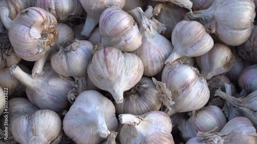 garlic on the market
