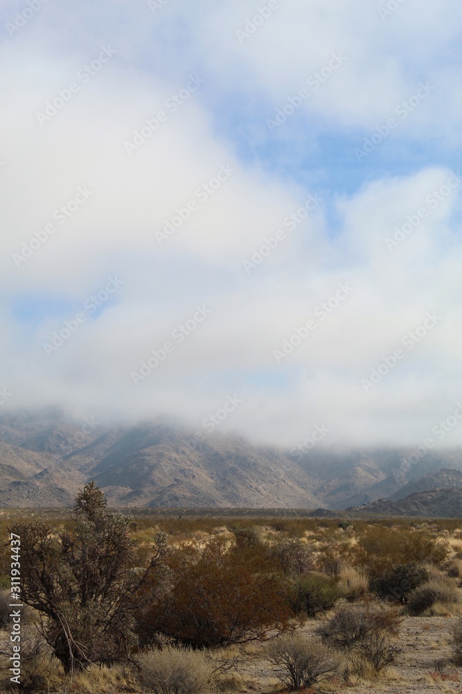 Fototapeta premium Rare Southern Mojave Desert fog shrouds mountainous figures near Indian Cove of Joshua Tree National Park.