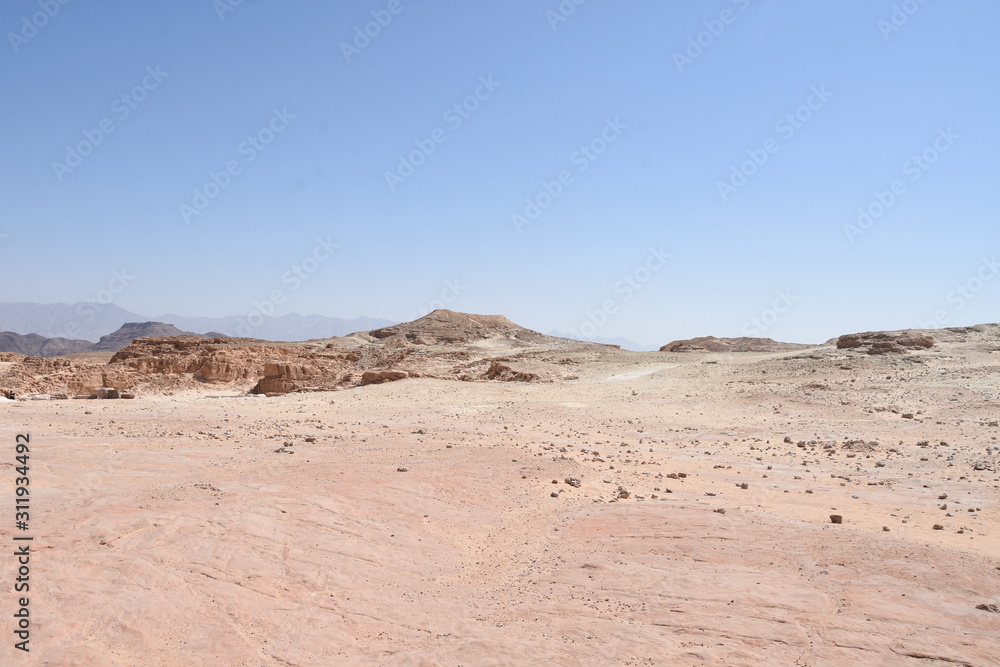 Desert Landscape in Timna Park on the background of cloudless blue sky, Negev Israel 