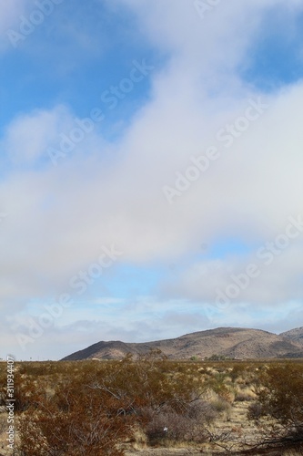 Rare Southern Mojave Desert fog shrouds mountainous figures near Indian Cove of Joshua Tree National Park.