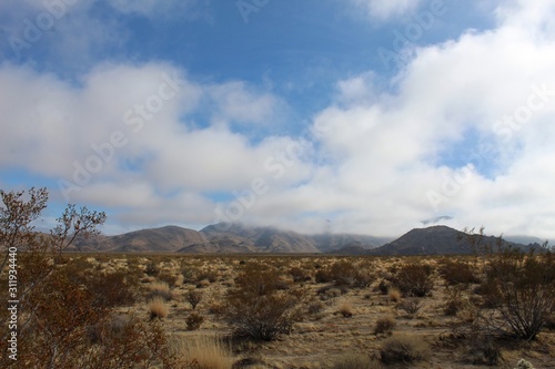 Rare Southern Mojave Desert fog shrouds mountainous figures near Indian Cove of Joshua Tree National Park.