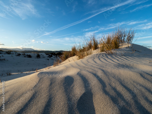 The beautiful dunes of Capo Comino