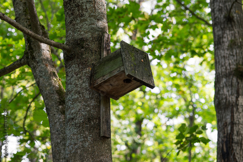 Inverted birdhouse on a tree in the forest, close-up.
