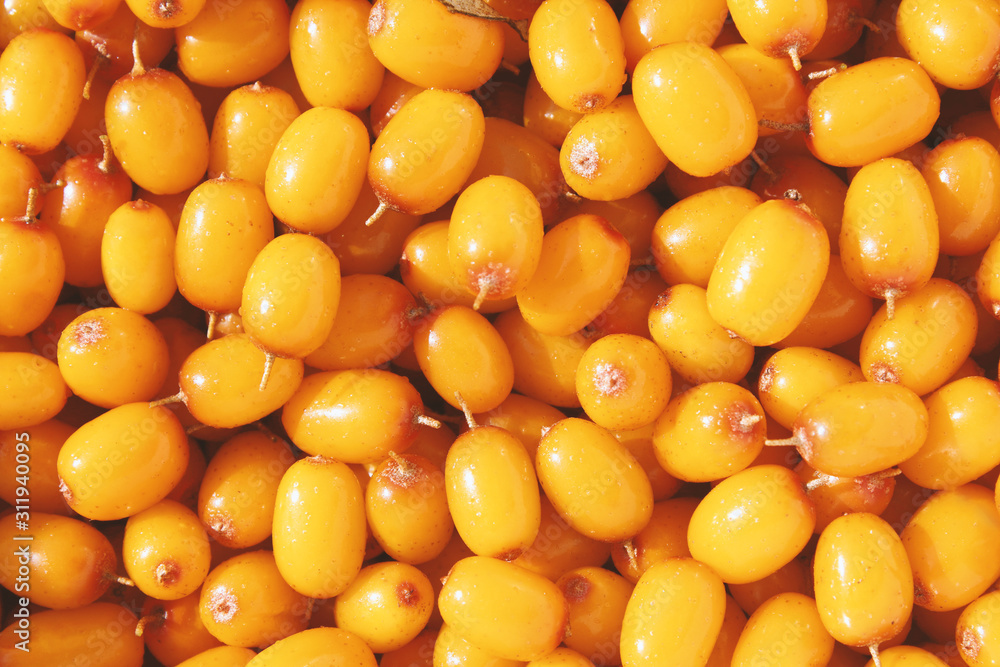 Fresh ripe sea buckthorn berries. Close-up. Top view. Background. Texture. Fresh ripe sea buckthorn berries. Close-up. Top view. Background. Texture.