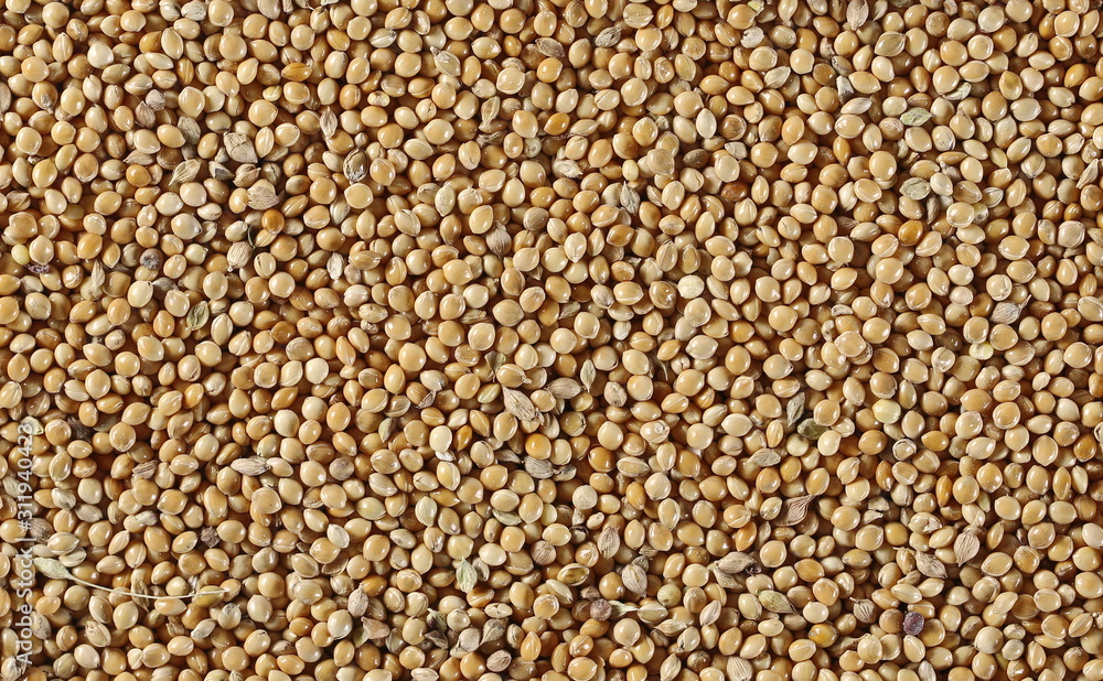 Millet seeds background and texture Millet seeds background and texture