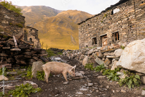 Georgian village