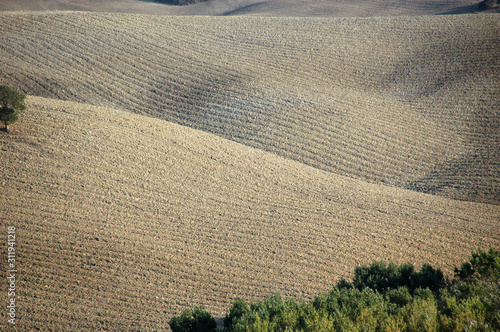 Tuscany Italy agricultural hill view