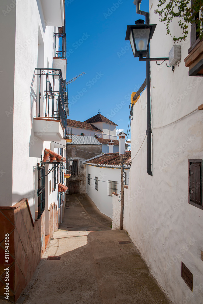 Fototapeta premium bonita calle rural del municipio de Algatocín, Málaga