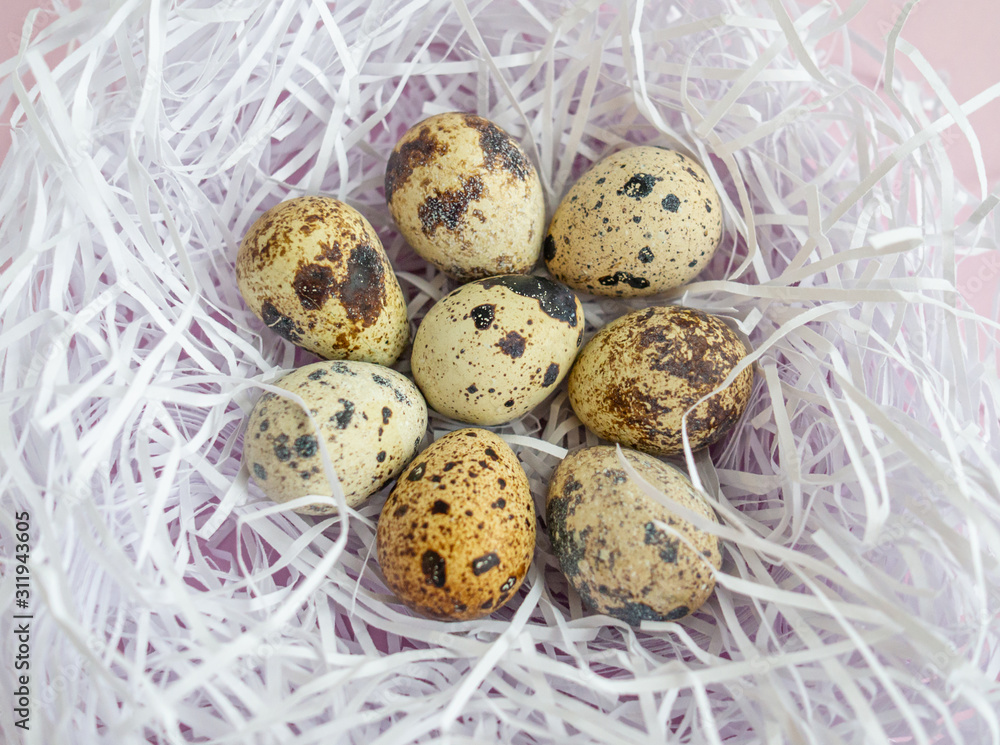 Obraz premium Easter flat lay with quail eggs in nest of paper strips on pink background. Top view.